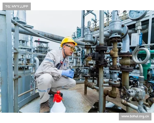 嘉和科技全套浓酸泵助力印尼镍钴项目一次性开车成功